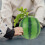 realistic plastic watermelon model for photography and display decor 4