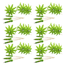 50Pcs Creative Coconut Palm Tree Party Martini Picks Wooden Sticks