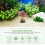 Artificial Water Plants Aquarium Fish Tank Office Plastic Greenery 11