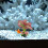 Artificial Water Plants Aquarium Fish Tank Office Plastic Greenery 9