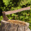 Replacement Wooden Handle For Shovel, Axe And Garden Tools 5