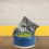 catnip planting box hydroponic soilless case for cats 4