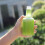 12pcs empty juice bottles for cold drinks and beverage packing 5