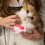 4pcs cat boots multipurpose bath feet nail covers 6