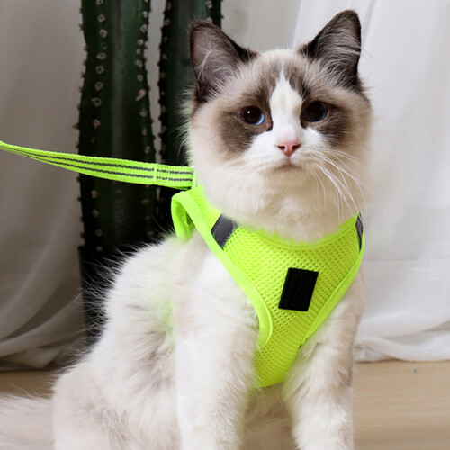 Vest Type Pet Harness Breathable Cat Chest Strap Fruit Green Size M 1