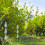 2 Sets Afsluiter Reflecterend Hangende Uil Hanger 11