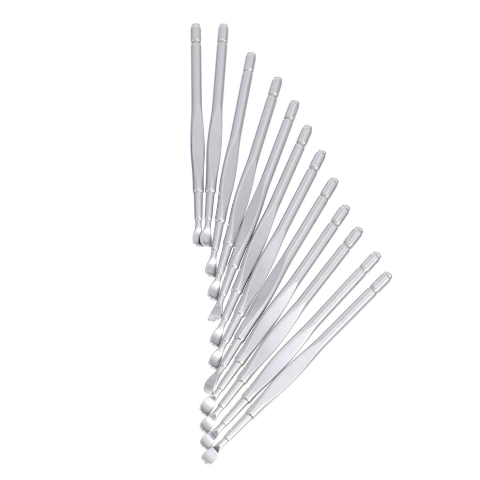 Ohphcall 12Pcs Stainless Steel Ear Cleaning Tools Set With Ear Pick Spoons
