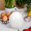 2pcs household egg steamed holder microwave oven shaped cup 9