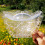 Durable Transparent Fruit Shaper Mold for Melon and Ginseng Growth 11