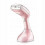 Handheld Garment Steamer 1