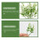 30pcs aquarium artificial plants for fish tank decoration 10