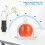 2 Pcs Serving Cake Display Cover Kitchen Tray Easy To Clean 8