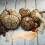 bag with natural materials for hats and slippers, includes corn husks 4