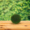 artificial moss ball shelf decor for indoor and home display 4