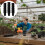 50pcs plastic hydroponic planting baskets for soilless garden use 5