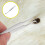 2 rvs vlooienpincet kat en hond ( ) 4