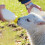 1 set lamb feeding bottles for small animals, goats, farm use 3