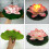 vivid lotus floating decorative gouache 11