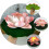 vivid lotus floating decorative gouache 10