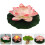 vivid lotus floating decorative gouache 3