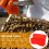 plastic bee cage for beekeeping transport and bee transfer 6