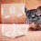 automatic hamster feeder clear acrylic dispenser for small pets 5