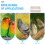 Bird Bath For Bathing Time With Plastic Compact Design 1 Set 7