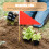 10pcs marking flags for lawn landscape construction use 11