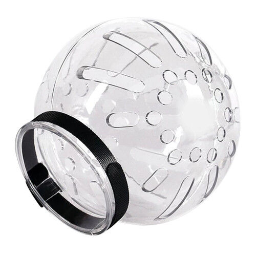 1Casque Rigide ABS Transparent Post-Opératoire Pour Chat Calme