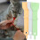 3 kattenstrip squeeze- vloeibare snacks en 8