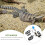 1Set Halloween Pet Costume Mit Elastischem Lizard Hat Und Leash Bowtie 11