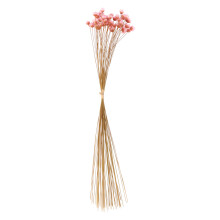 50Pcs Flower Bunch Bright Dried Bouquet for Home Decoration