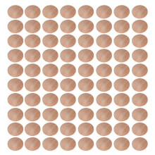 80 Stuks 30X25 Mm Trapgaatje Meubelafdekking