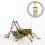 bamboo cage portable carrying case for crickets 8