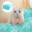 paper bedding for small pets water absorption sawdust 2