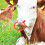 2pcs plastic cattle nose rings with plier for livestock 8