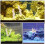 natural aquarium filter coral sand set for fish tank and pond 6