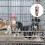 Fontaine PVC Rose Durable Usage Animaux 4