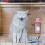 Fontaine PVC Rose Durable Usage Animaux 8