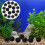 100pcs balls for aquarium filter filtration cleaning 9