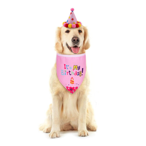 Ein Set Hundehaube Für Pink Speichelhandtuch 1