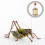 Bamboo Cage Portable Cricket Carrying Case 8