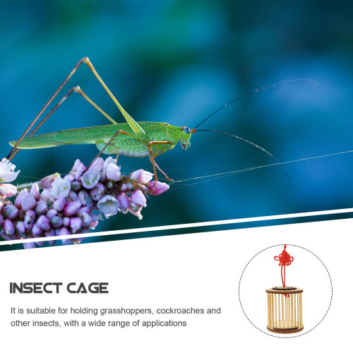 Bamboo Cage Portable Cricket Carrying Case 2