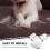 lint roller set for pet hair removal reusable double sided 8