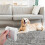 lint roller set for pet hair removal reusable double sided 4
