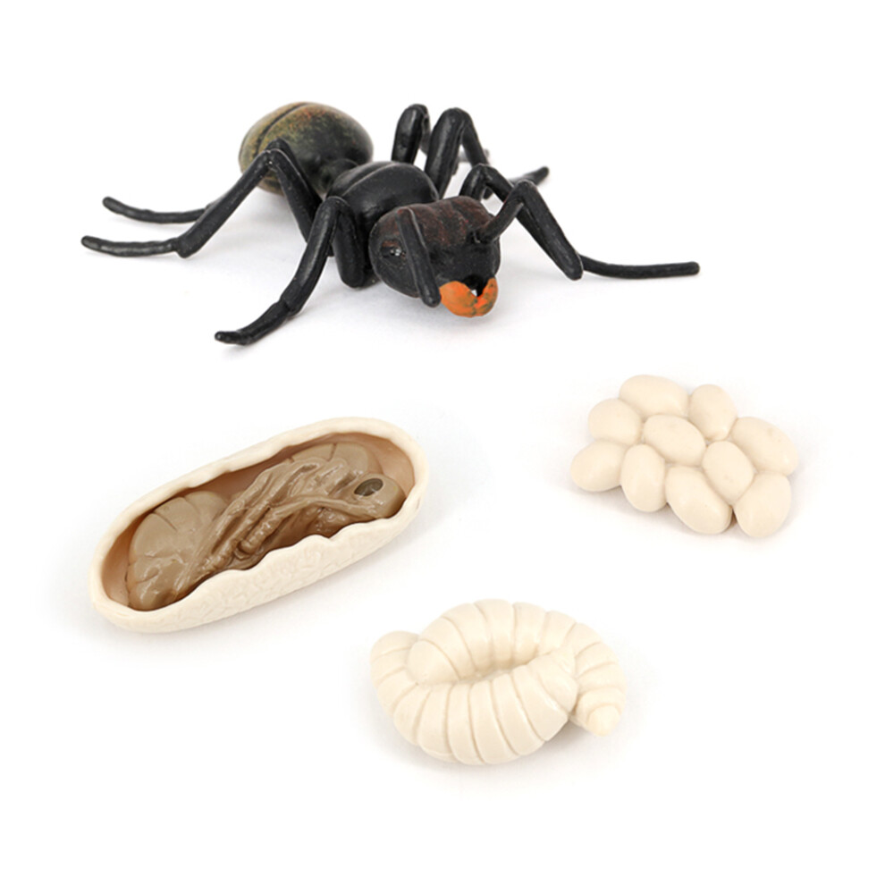 1 Set Ant Toys Simple Small Animal Props Ants Models for Display Play-image-OPC-PKRX75M-NEW