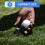 golf ball stamp marker tool for custom logo marking golf accessories 4