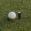 golf ball stamp marker tool for custom logo marking golf accessories 5