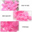 100pcs grafting false eyelash glue cup tool pink 10