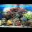 Aquarium Oxygen Pump Betta Fish Hideout Figurine Fish Tank Shipwreck 7